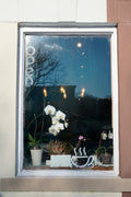 Window