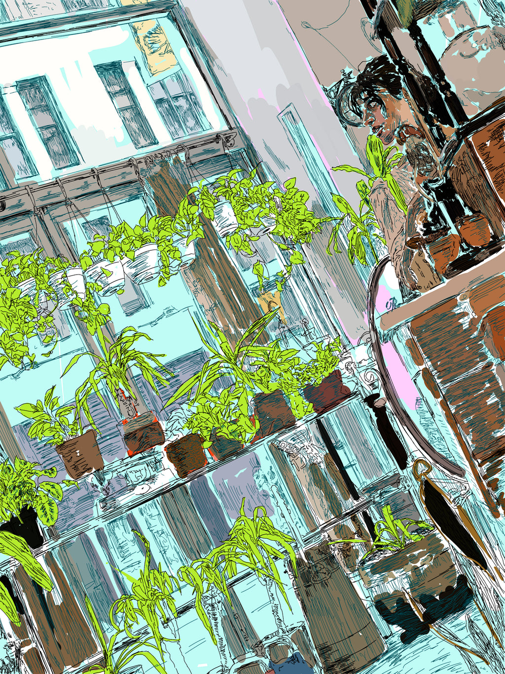 Window
